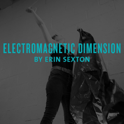 electromagnetic dimension by erin sexton